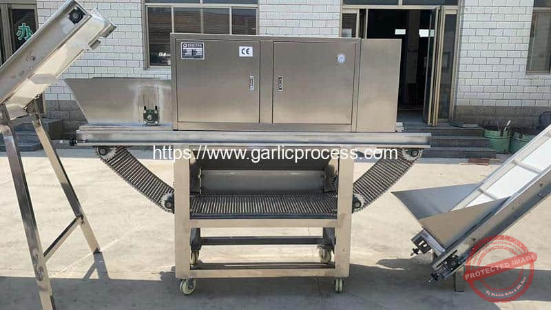 Italy-Chain-Type-Garlic-Peeling-Machine-with-Elevator